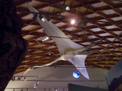 "Twilight" floats above a scale-model of the once native pterosaur, Quetzalcoatlus northropi